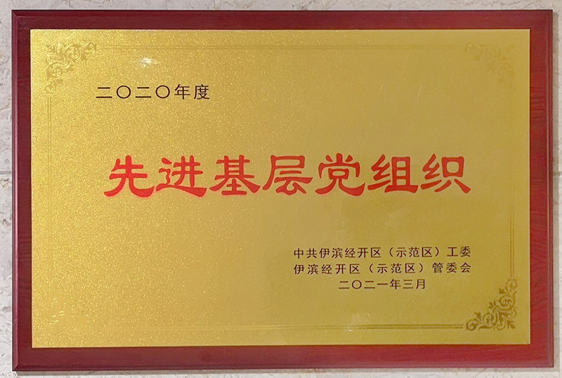 中共河南申泰控股集团总支委员会荣获 “2020年度先进基层党组织”荣誉称号