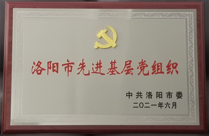 中共河南申泰控股集团党总支荣获 洛阳市先进基层党组织荣誉称号